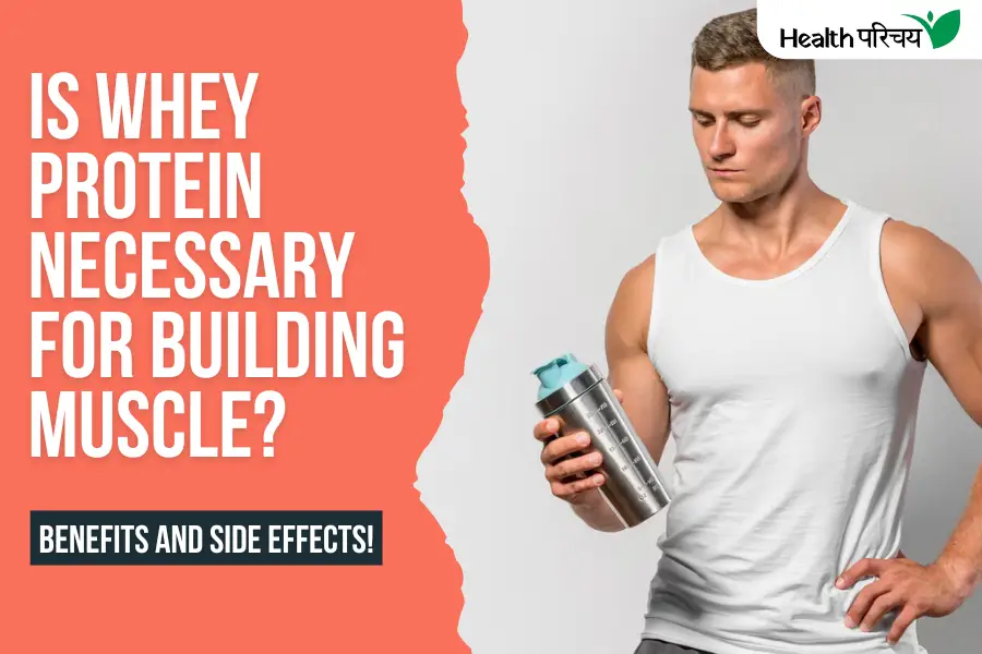 Is Whey Protein Necessary for Building Muscle?